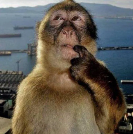 С учётом технологий....